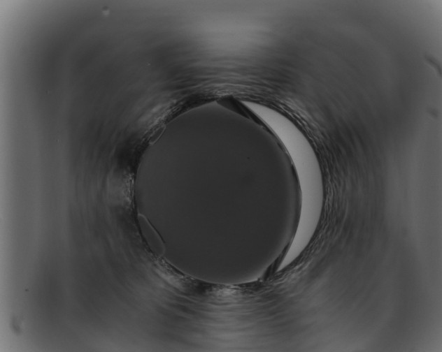 X0000091940325200709191425