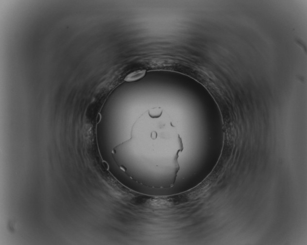 X0000091940327200709191425