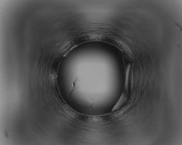 X0000091940329200709191425