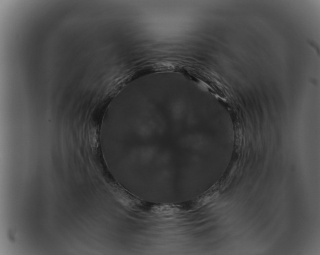 X0000091940331200709191425