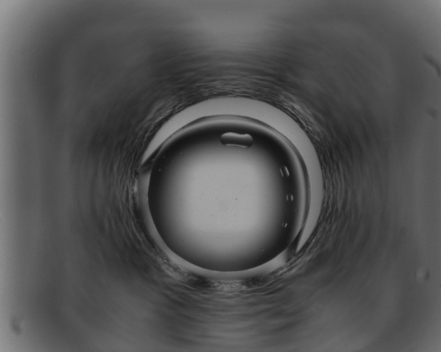 X0000091940333200709191425