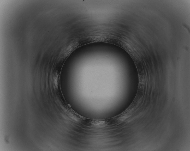 X0000091940334200709191425