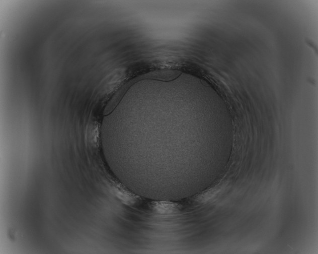 X0000091940336200709191425