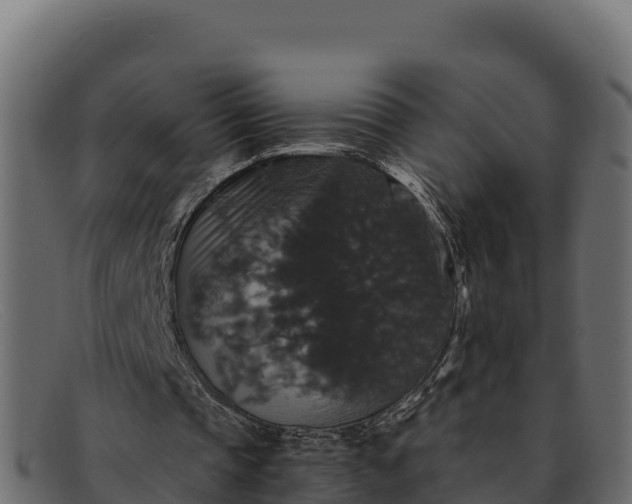 X0000091940337200709191424