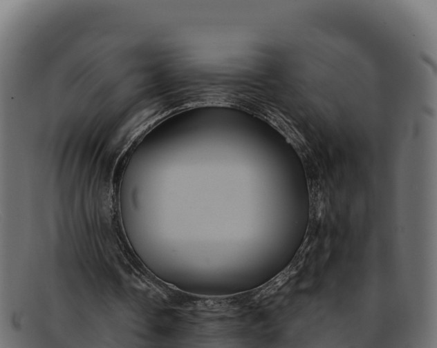 X0000091940338200709191424