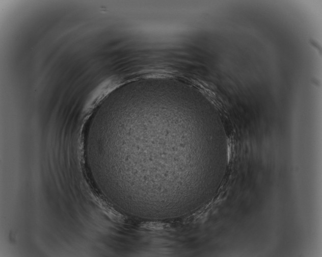 X0000091940339200709191424