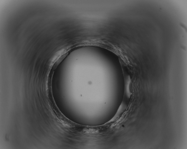 X0000091940340200709191424