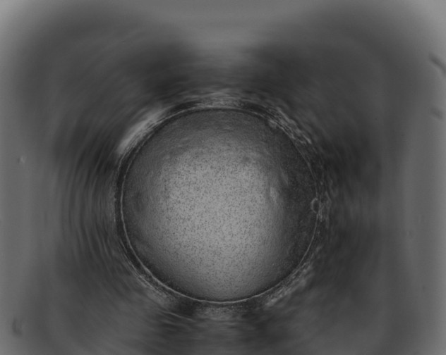 X0000091940341200709191424