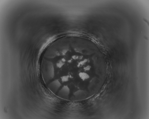 X0000091940343200709191424