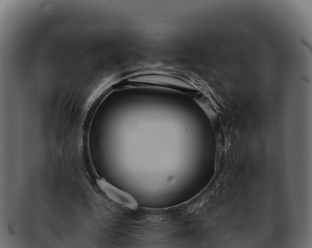 X0000091940344200709191424