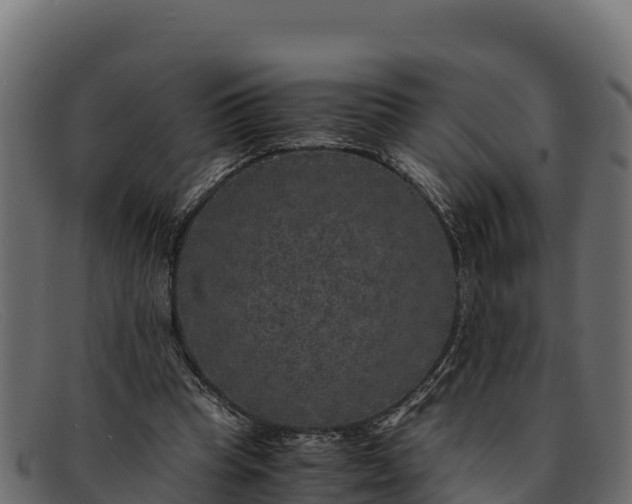 X0000091940345200709191424