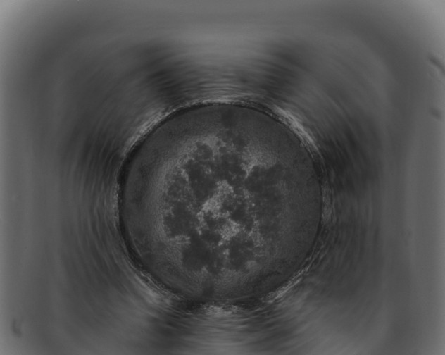 X0000091940346200709191424