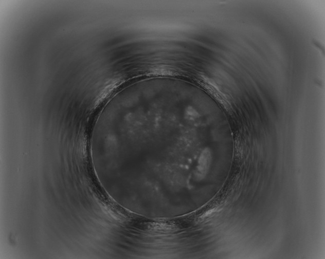 X0000091940347200709191424