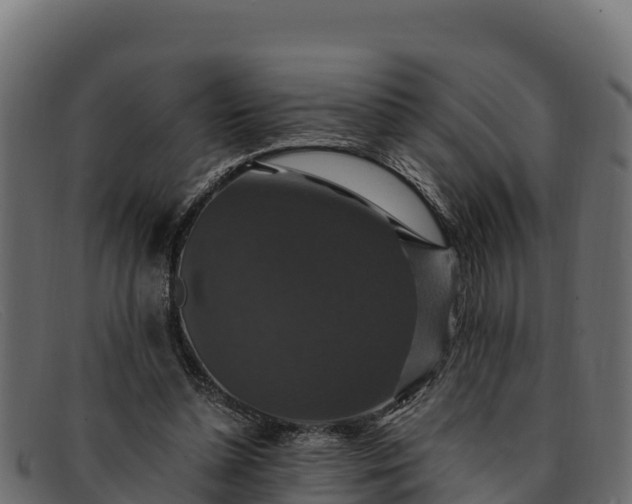 X0000091940348200709191424