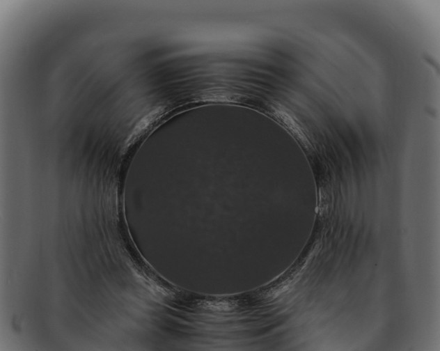 X0000091940349200709191424