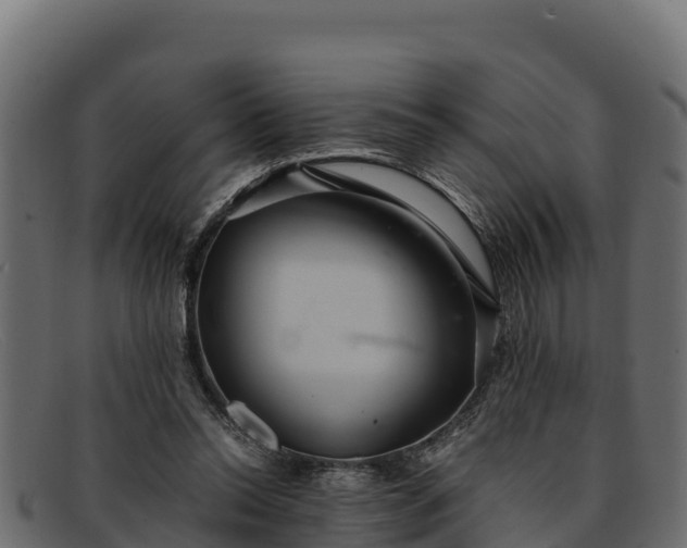 X0000091940350200709191424