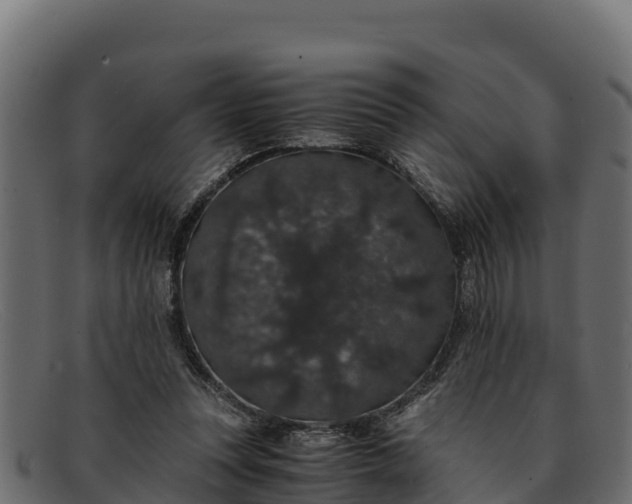 X0000091940351200709191424