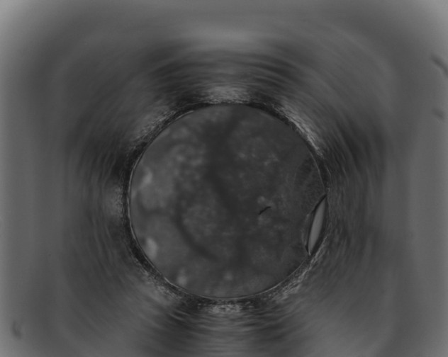 X0000091940353200709191424