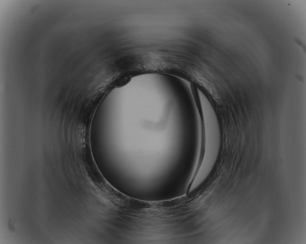 X0000091940356200709191424