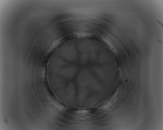 X0000091940357200709191424