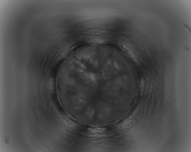 X0000091940359200709191424