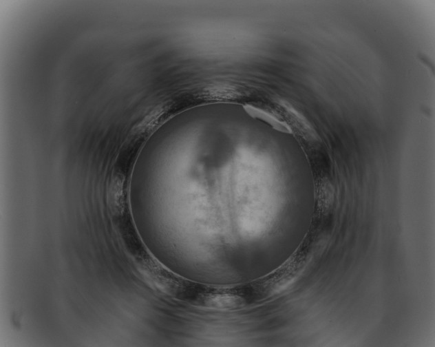 X0000091940360200709191424