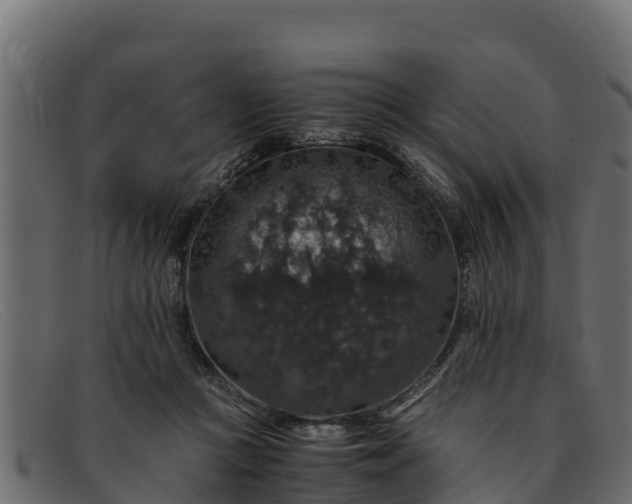 X0000091940361200709191424