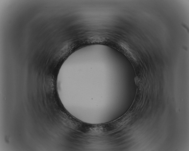 X0000091940362200709191424