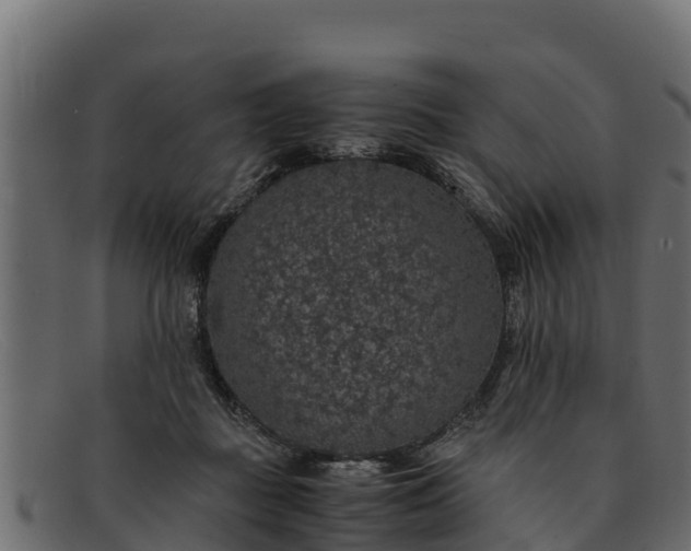 X0000091940363200709191424