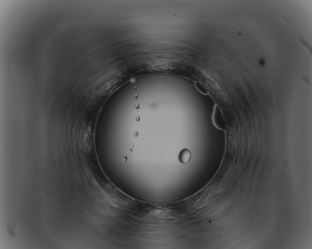 X0000091940364200709191424