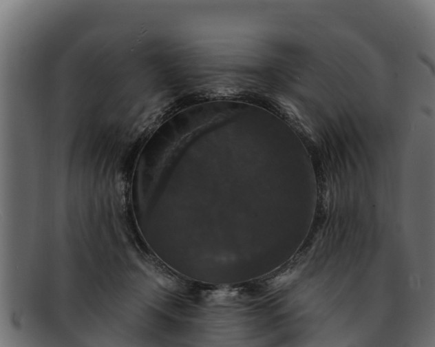 X0000091940366200709191424