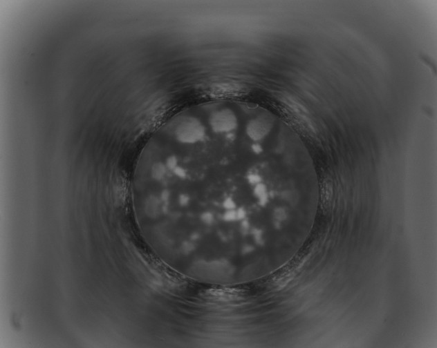 X0000091940367200709191424