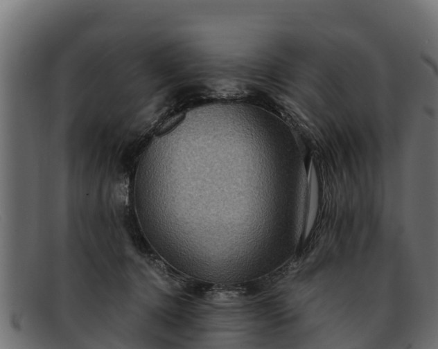 X0000091940368200709191424