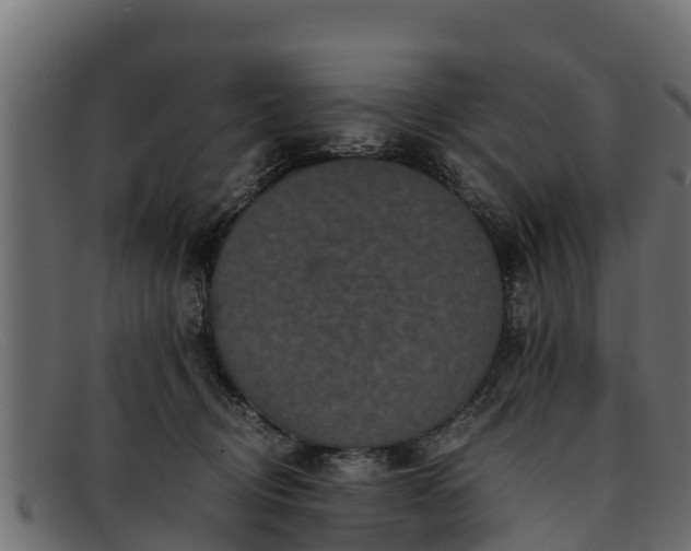 X0000091940370200709191424