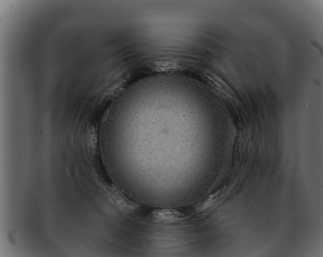 X0000091940372200709191424