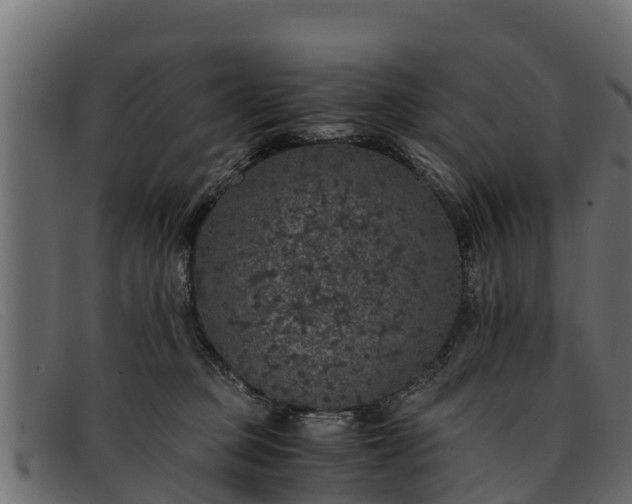 X0000091940373200709191424