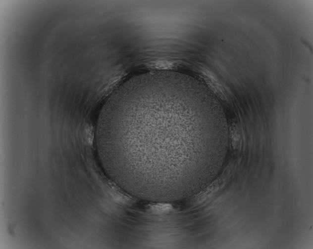 X0000091940374200709191424