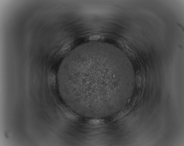 X0000091940375200709191424