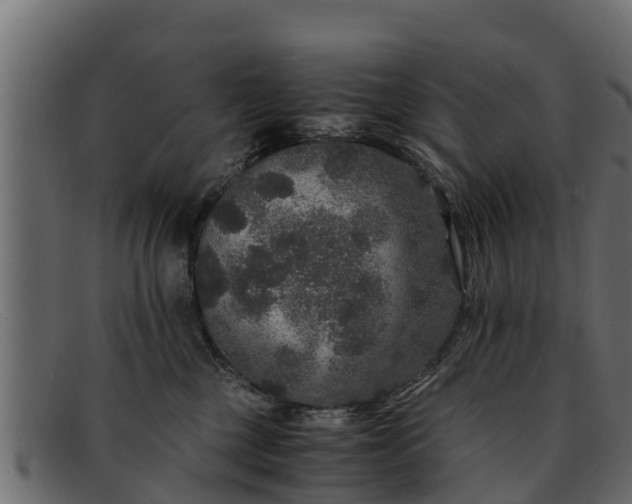 X0000091940377200709191424