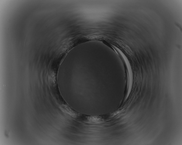 X0000091940380200709191424