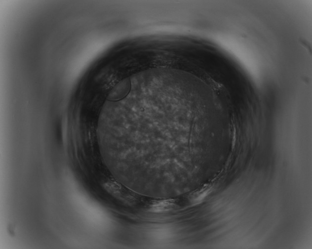 X0000091940382200709191425