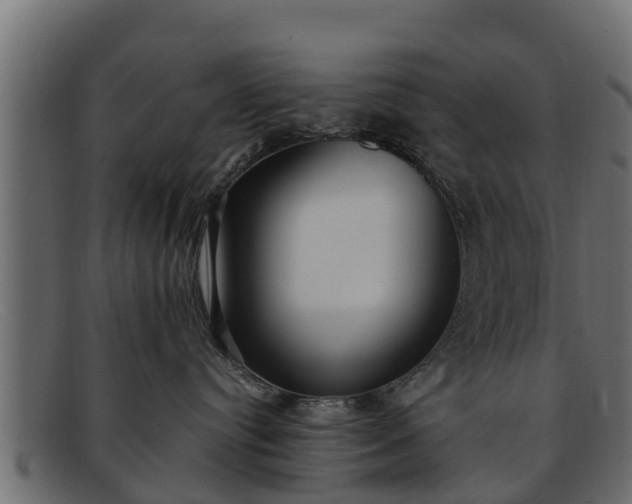 X0000091940384200709191425