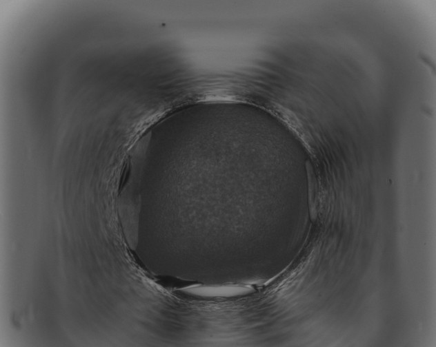 X0000091940385200709191424