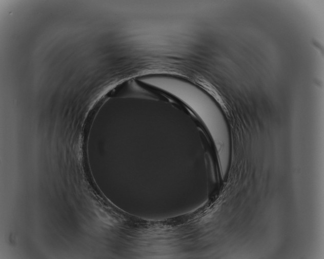 X0000091940387200709191424