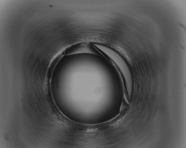 X0000091940388200709191424