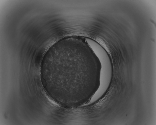 X0000091940389200709191424