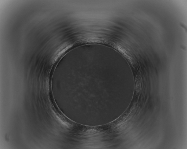 X0000091940390200709191424