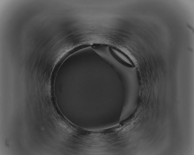 X0000091940391200709191424