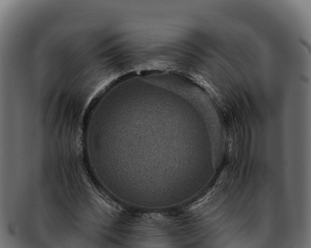 X0000091940392200709191424