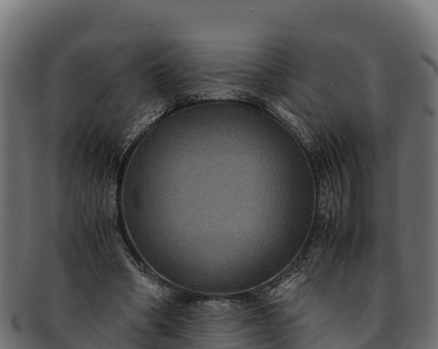 X0000091940394200709191424